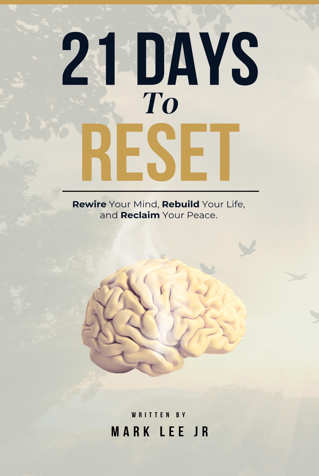 21 Days To Reset by Mark Lee Jr.